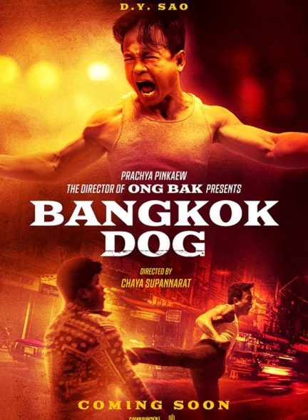 فیلم Bangkok Dog 2024 | سگ بانکوک